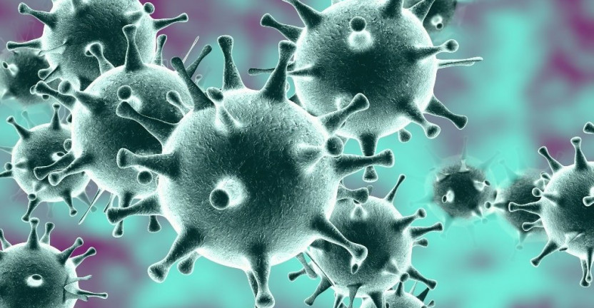 О мерах по предупреждению завоза и распространения  новой коронавирусной инфекции