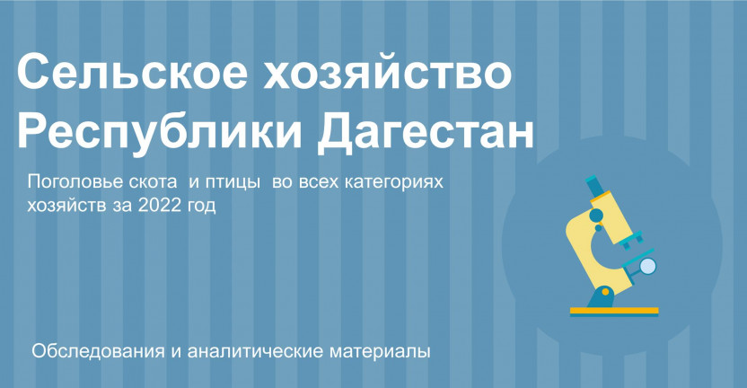 Поголовье скота  и птицы во всех категориях хозяйств за  2022 год